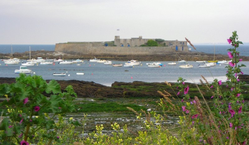 2010-06-12 08 Pouldreuzic Coucou au Fort Bloque en passant.JPG